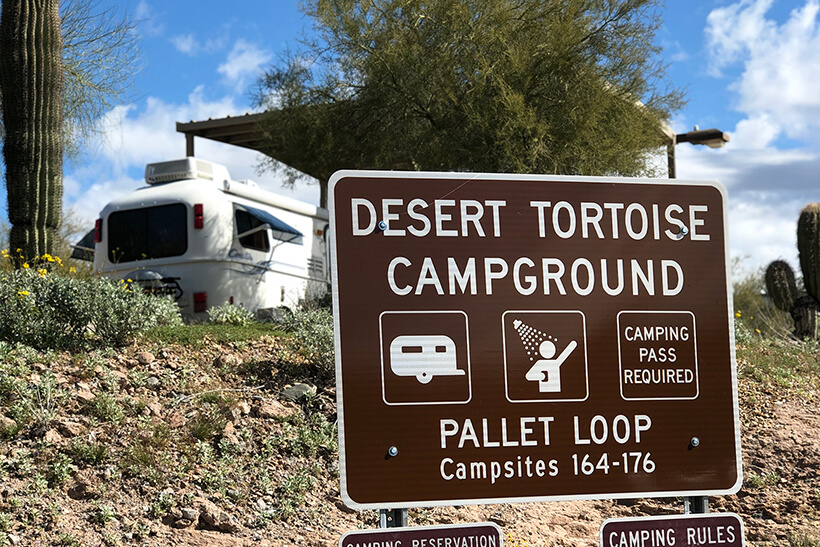Camping Spots at Lake Pleasant Scorpion Bay Marina