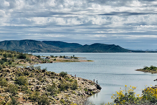 Blog - Scorpion Bay Marina