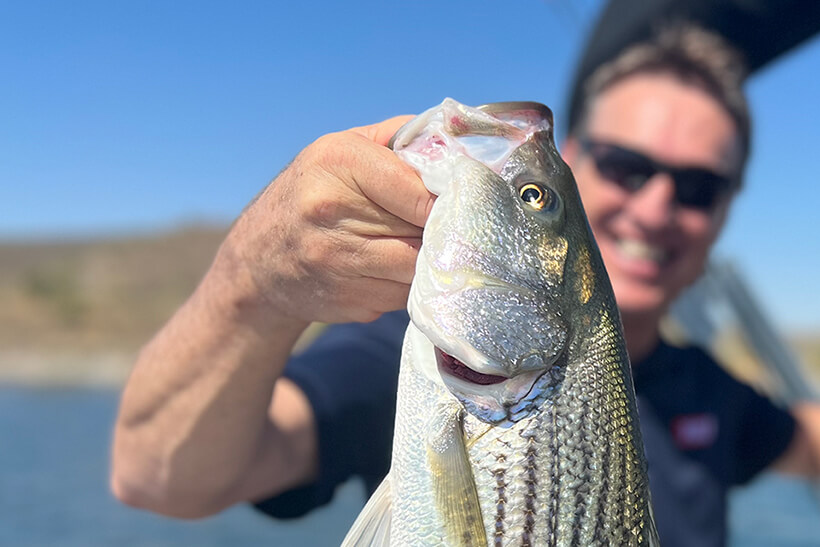5 Tips for Best Fall Striper Bass Fishing at Scorpion Bay